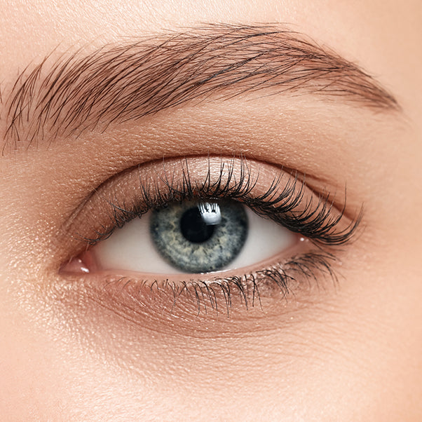 EYE - PRIMER