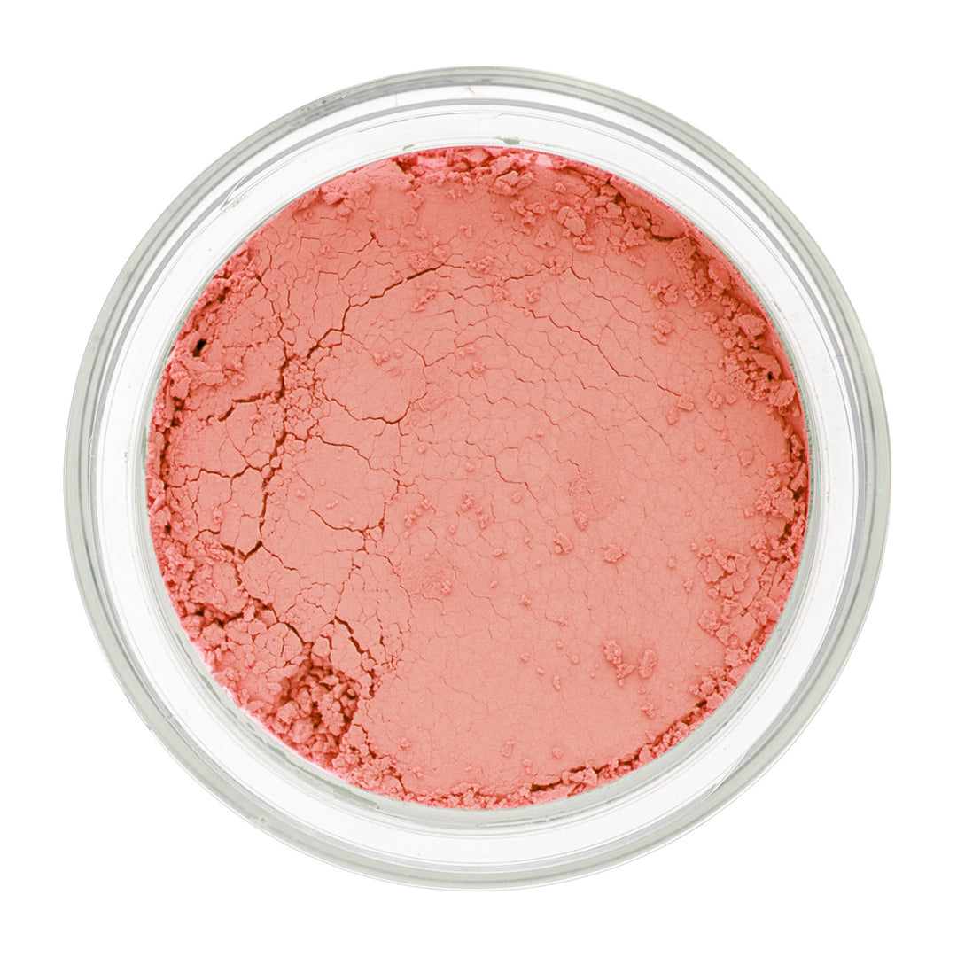 Matte Loose Powder Eye Shadow
