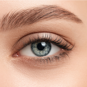 Matte finish eye primer, all day coverage